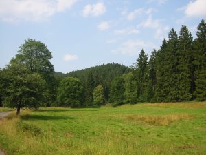 Photo aus dem Harz